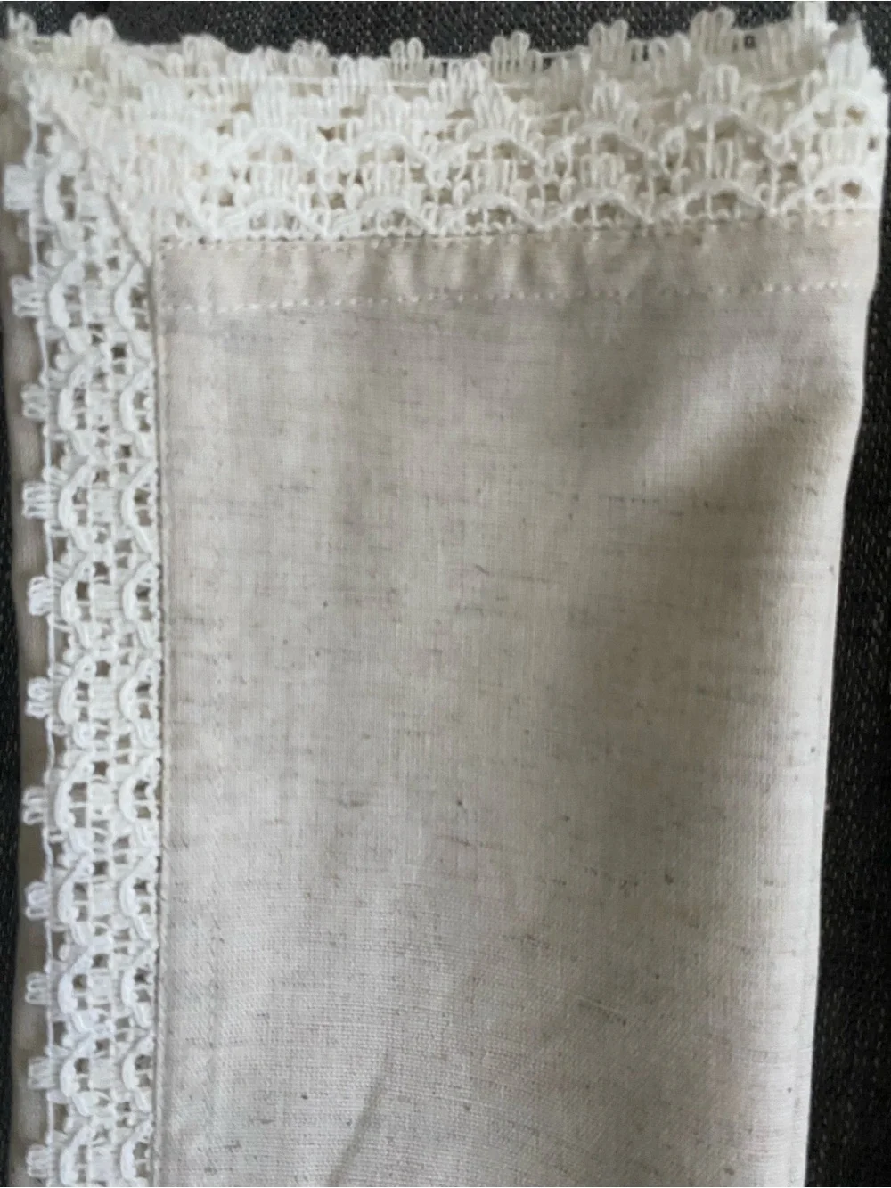 Pier 1 imports Elegant Lace-Trim Napkins - Cream (Set of 9)